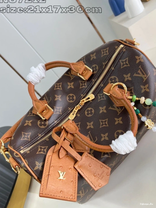30 Speedy Soft Vuitton Boho Louis 0105